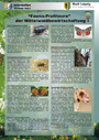 "Fauna Profiteure" der Mittelwaldbewirtschaftung "Fauna Profiteure" der Mittelwaldbewirtschaftung