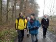 Spaziergang durch den Leipziger Auwald
