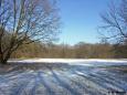Nonnenwiese im Winter