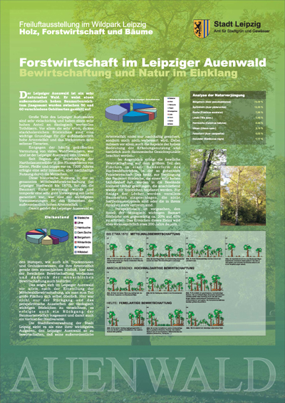 Forstwirtschaft im Leipziger Auenwald