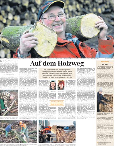 Auf dem Holzweg