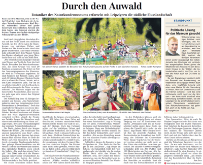Durch den Auwald